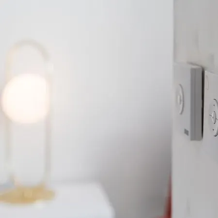 Backyard Palace Terrace *